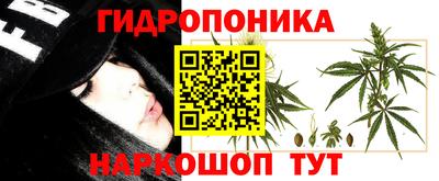 эйфоретик Донской