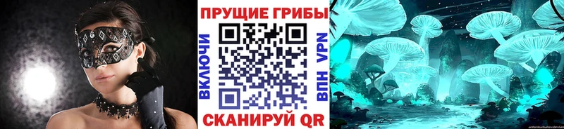 Галлюциногенные грибы мухоморы  Красноармейск 
