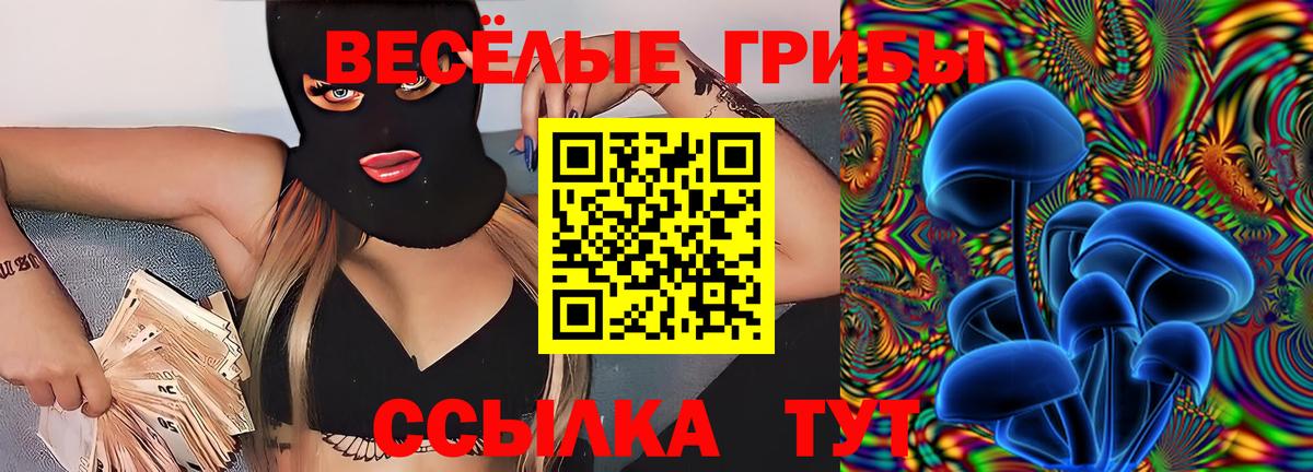Псилоцибиновые грибы Cubensis Красноармейск